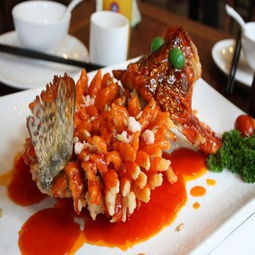 小厨娘淮扬菜加盟条件、费用及联系方式详解